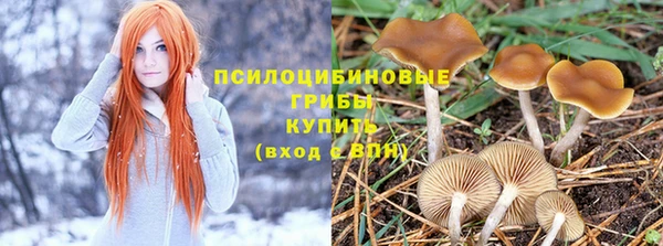 ECSTASY Абинск