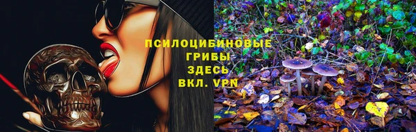 ECSTASY Абинск